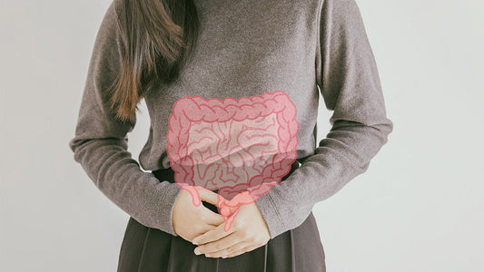 Intestino sano: cos’è esattamente la “salute intestinale”?