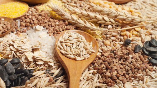 Raccolta dei cereali con cucchiaio di legno
