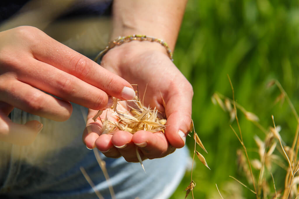 Intolleranza al glutine e celiachia