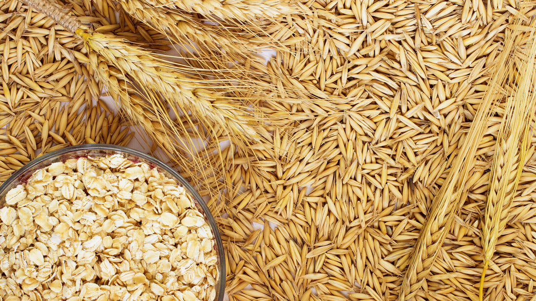 Cosa si può preparare con la farina d'avena?