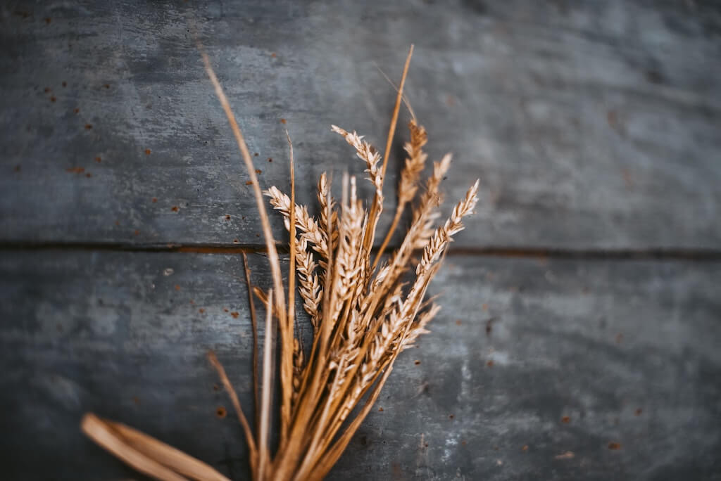 Alimenti di base Grano