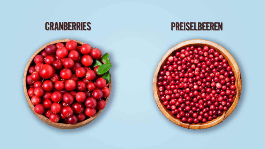 Cranberries Cranberries Differenza
